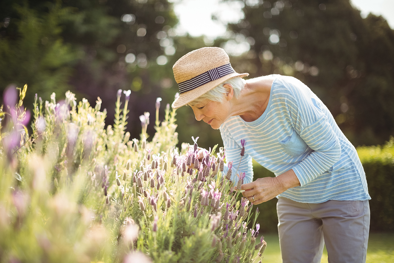 eldre drame med striehatt står i hagen og lukter på lavender